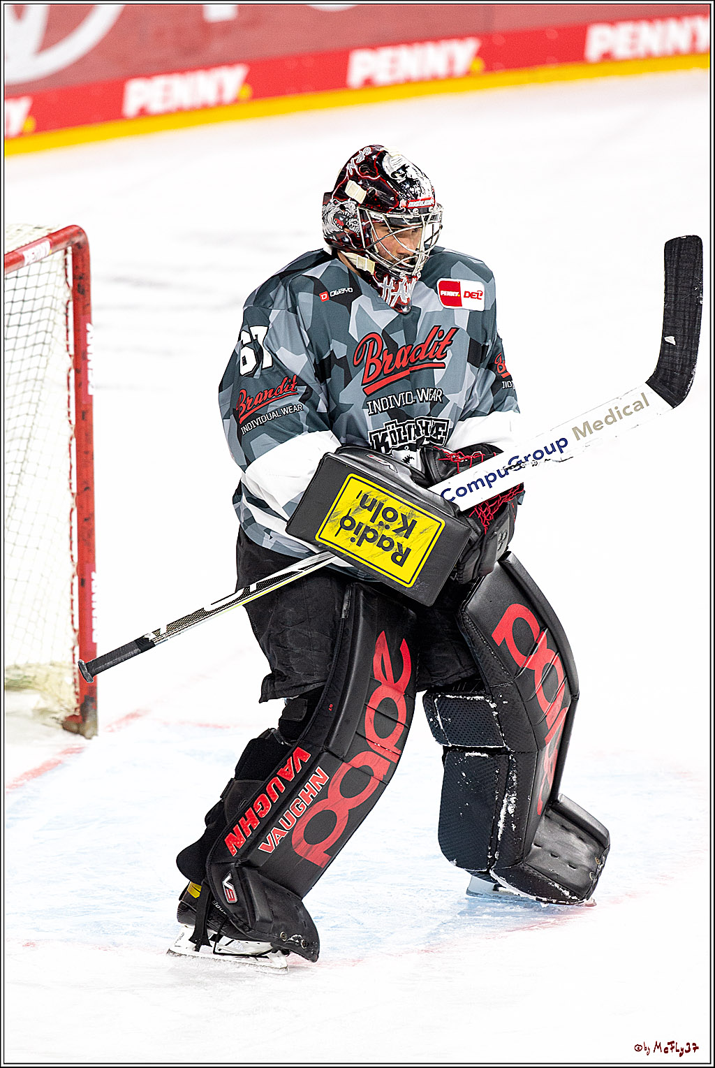 PENNY DEL;  Koelner Haie - Fischtown Pinguins Bremerhaven; Koeln, 12.02.2021